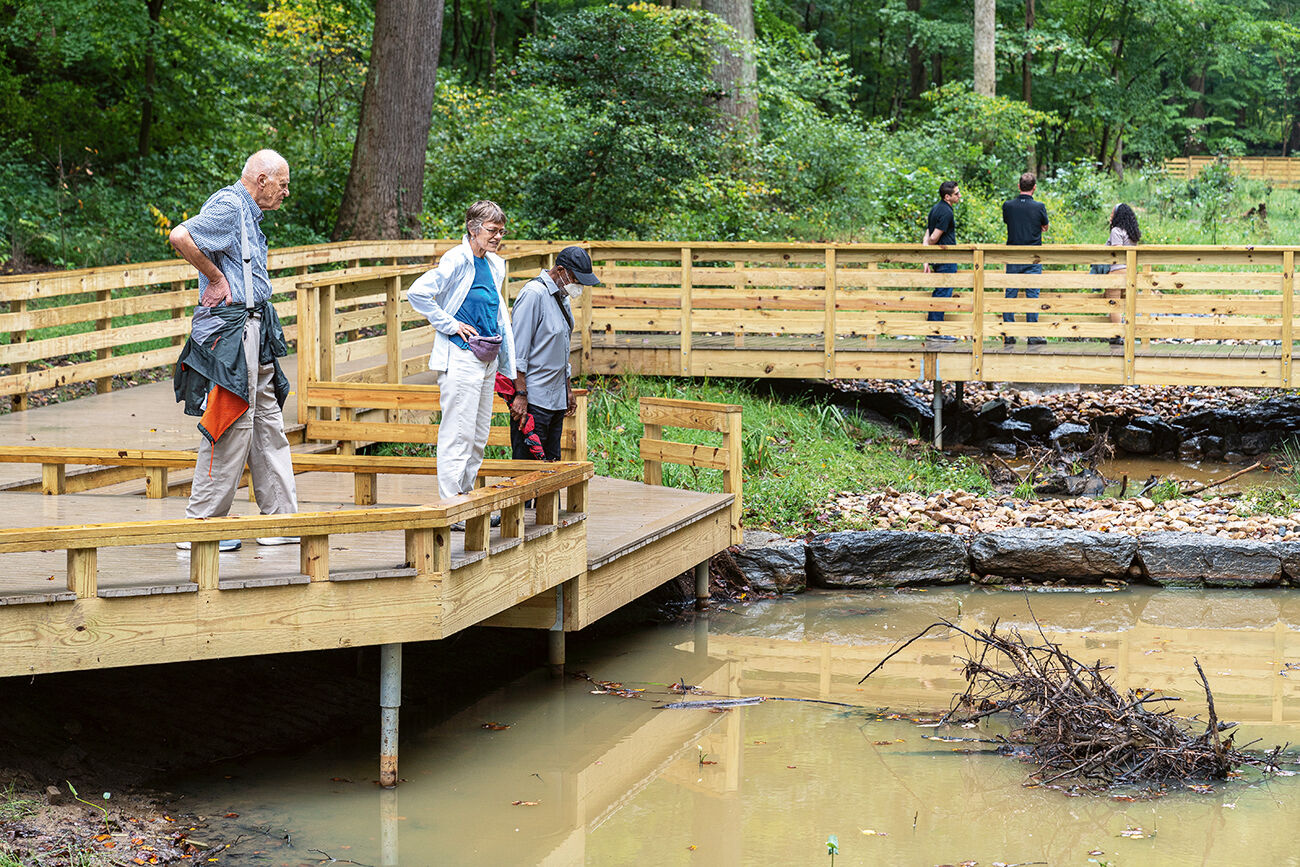 Boardwalk pond overlook
